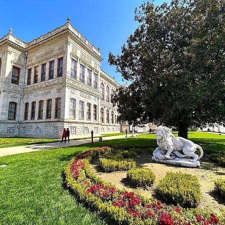 Cosa Mesken Besiktas *